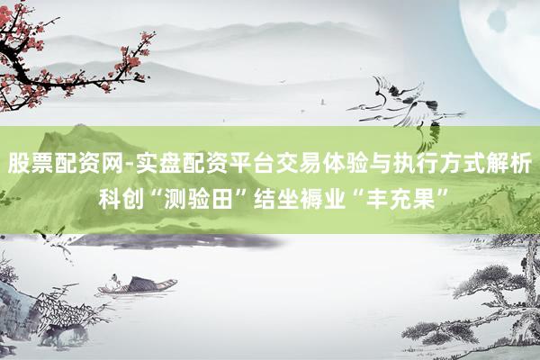 股票配资网-实盘配资平台交易体验与执行方式解析 科创“测验田”结坐褥业“丰充果”