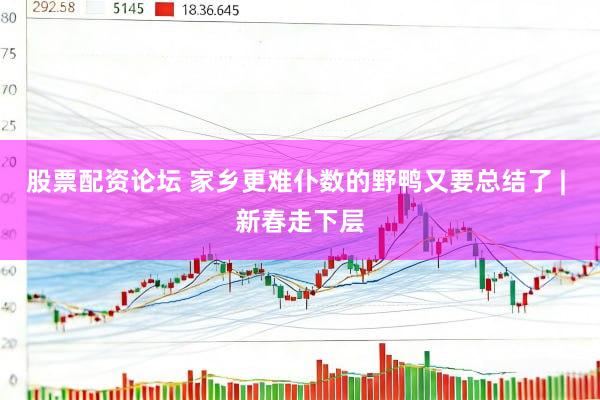 股票配资论坛 家乡更难仆数的野鸭又要总结了 | 新春走下层
