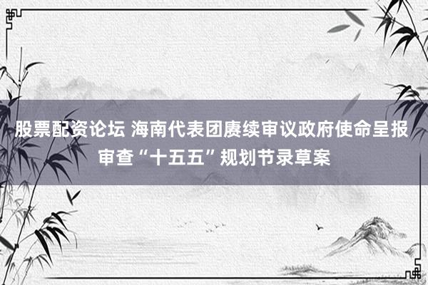股票配资论坛 海南代表团赓续审议政府使命呈报 审查“十五五”规划节录草案