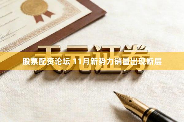 股票配资论坛 11月新势力销量出现断层