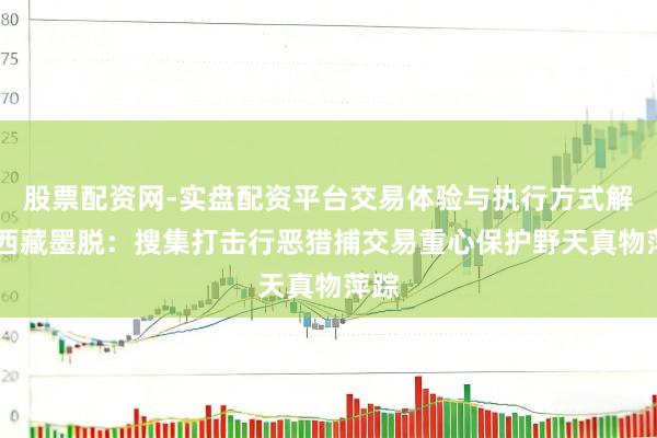 股票配资网-实盘配资平台交易体验与执行方式解析 西藏墨脱：搜集打击行恶猎捕交易重心保护野天真物萍踪