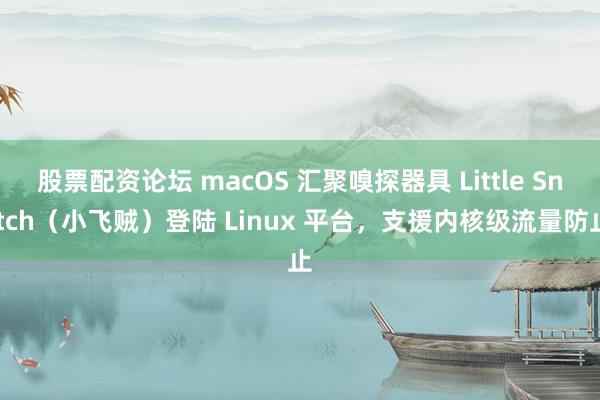 股票配资论坛 macOS 汇聚嗅探器具 Little Snitch（小飞贼）登陆 Linux 平台，支援内核级流量防止