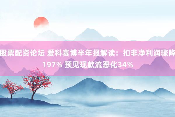 股票配资论坛 爱科赛博半年报解读：扣非净利润骤降197% 预见现款流恶化34%